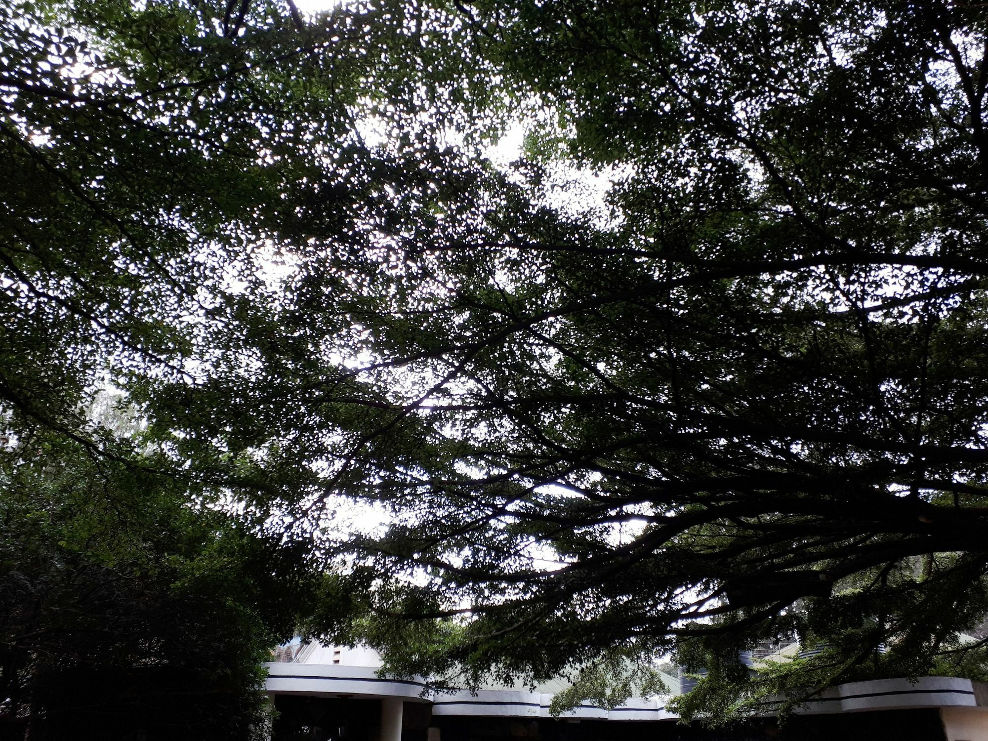 Bermuda Garden Hotel Nairobi Zewnętrze zdjęcie